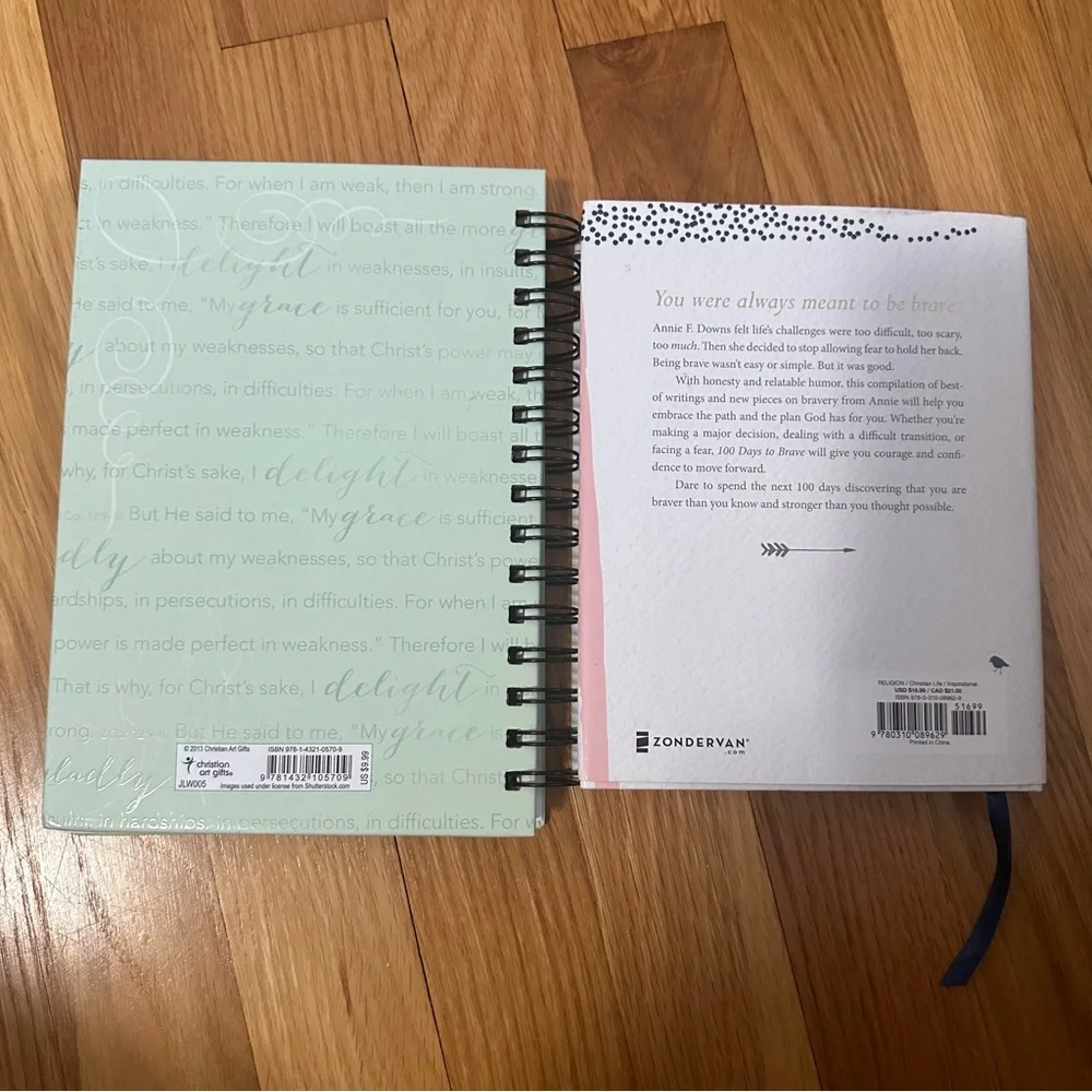100 Days to Brave by Annie Downs Devotional and blank Christian Journal NEW